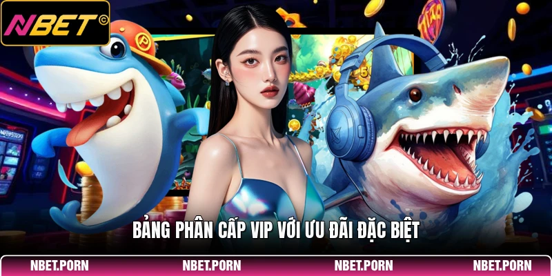 Bảng phân cấp VIP với ưu đãi đặc biệt